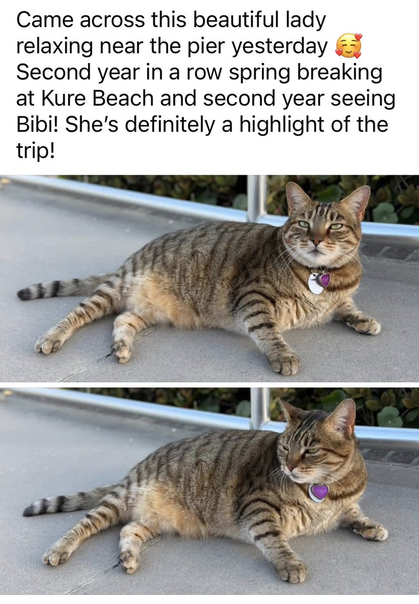 Soul | Tech | Sage tweet media