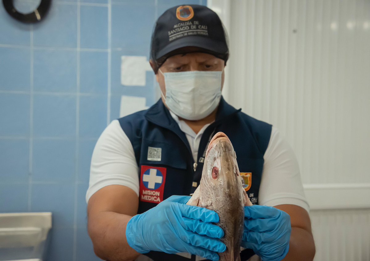 Secretaría de Salud Pública de Cali tweet media