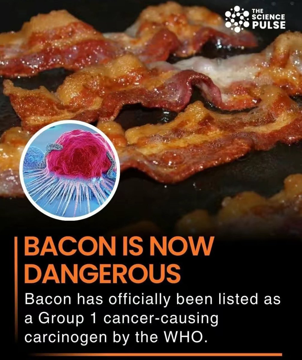 Patrice Johnson 🇮🇪 tweet media