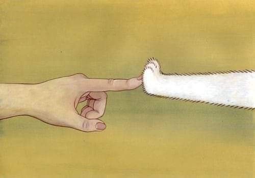 only cute things tweet media