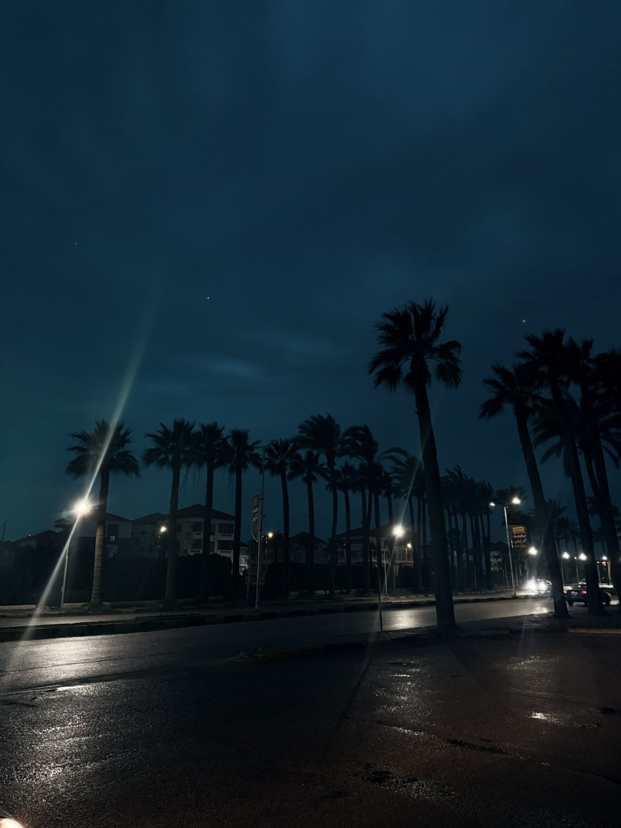 MERRY 🇵🇸 tweet media