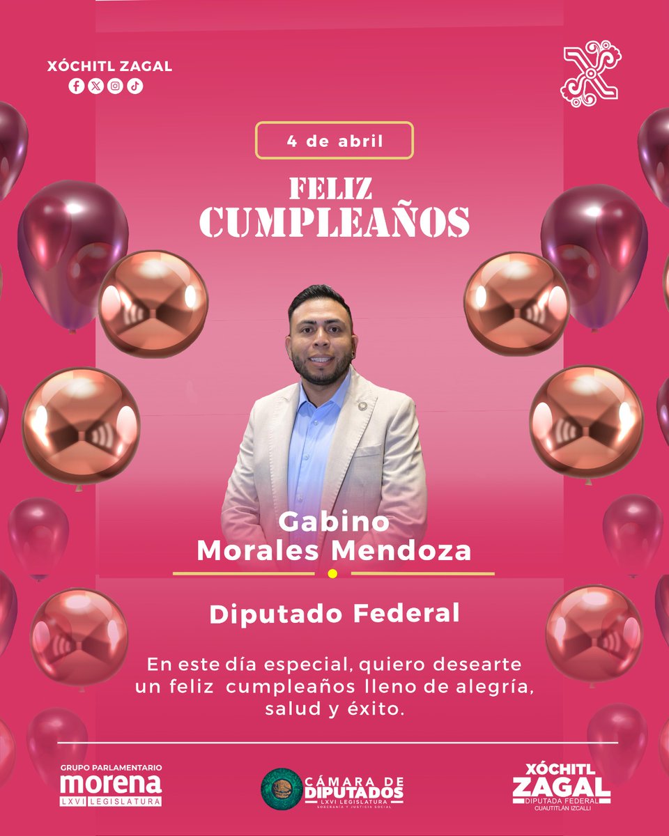 Diputada Xóchitl Zagal tweet media