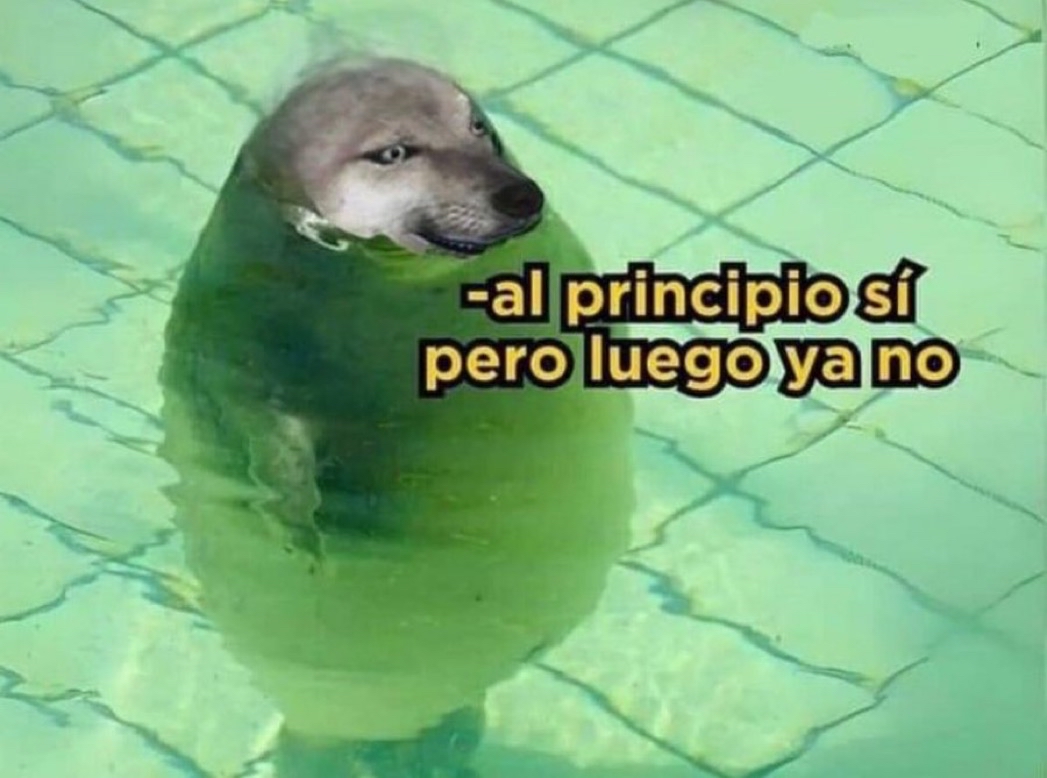 El Guarromántico tweet media