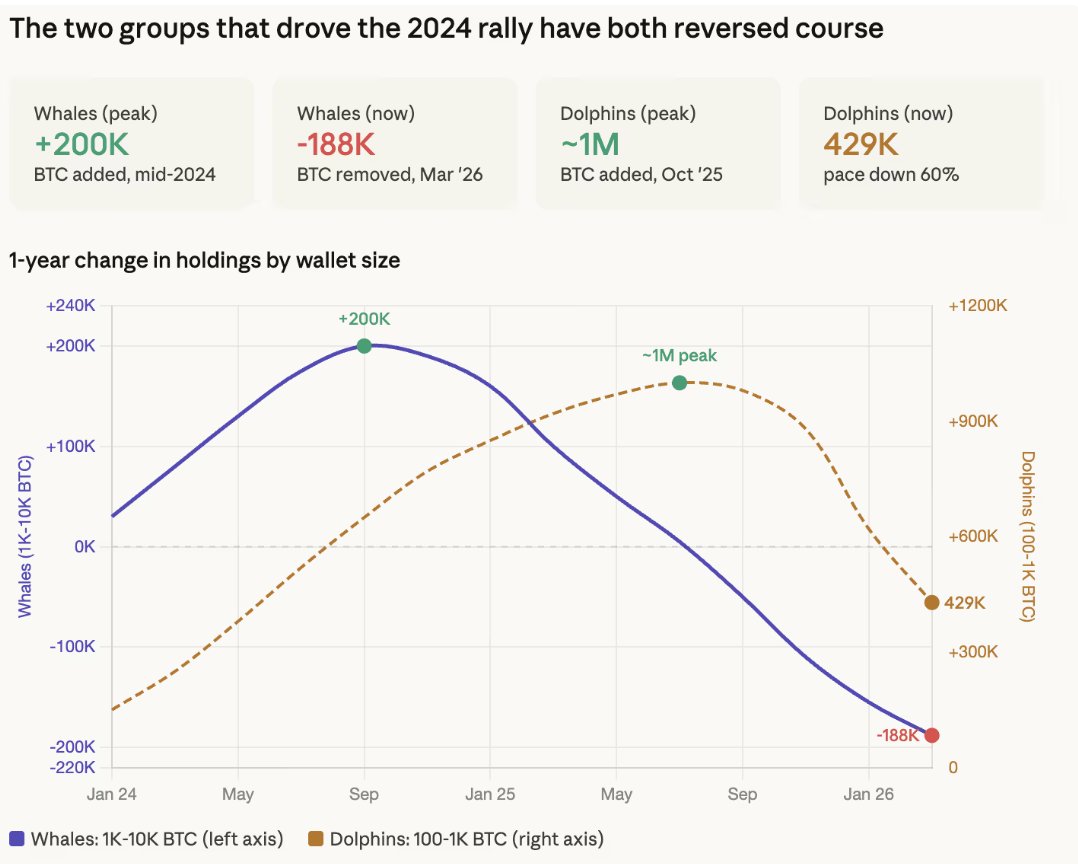Coin Bureau tweet media