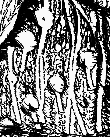 Dave Bollinger tweet media