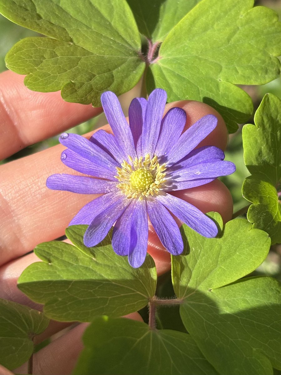 Dr Juliet Turner tweet media