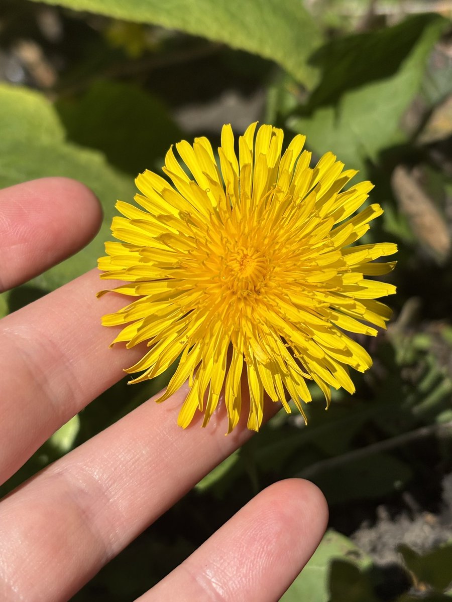 Dr Juliet Turner tweet media