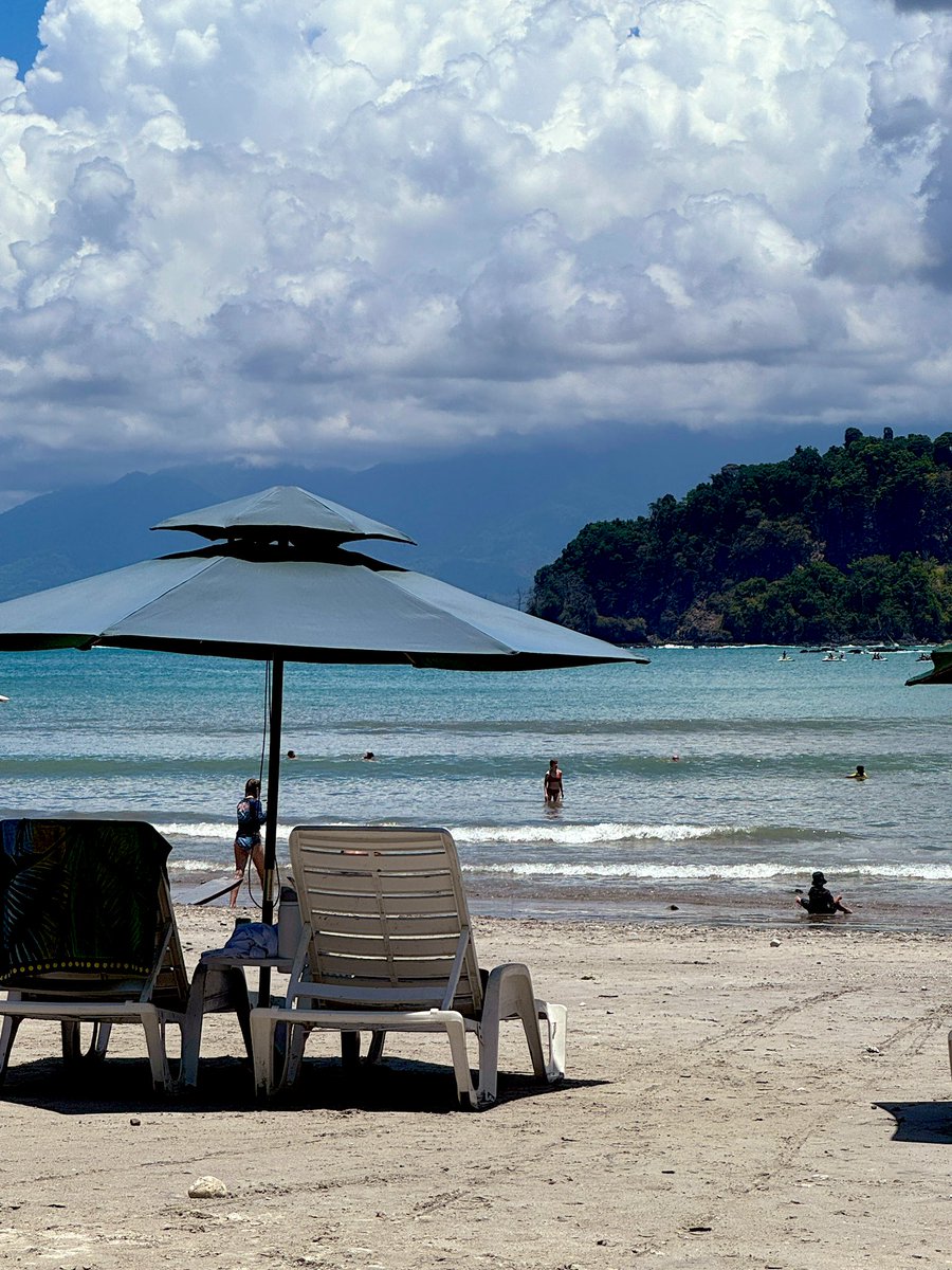 Yael Segal-Ruder tweet media