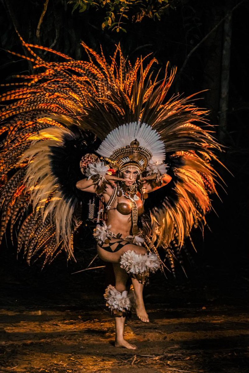 Isabelle 🏹 tweet media