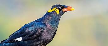 TheRealBudBundy tweet media