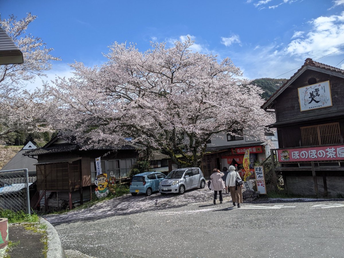 亀ちゃん tweet media