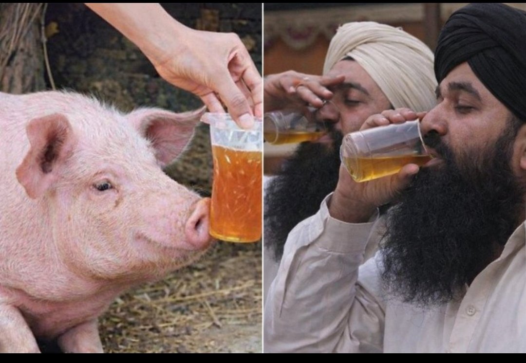 Prateek Parida tweet media