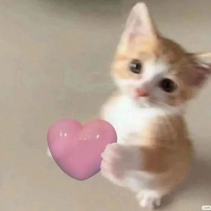 /downeando tweet media