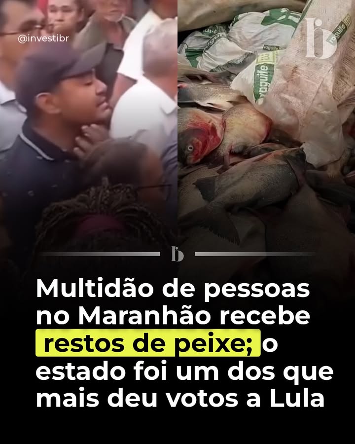 Escrevi.com tweet media