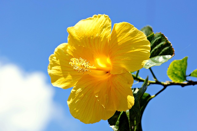 Joe Diamond سَُ سِِكُسْ_كتَاب NEED tweet media