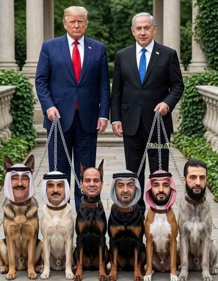 alshmry56419's tweet photo. @Hydikm https://t.co/CQUVFcSwaD