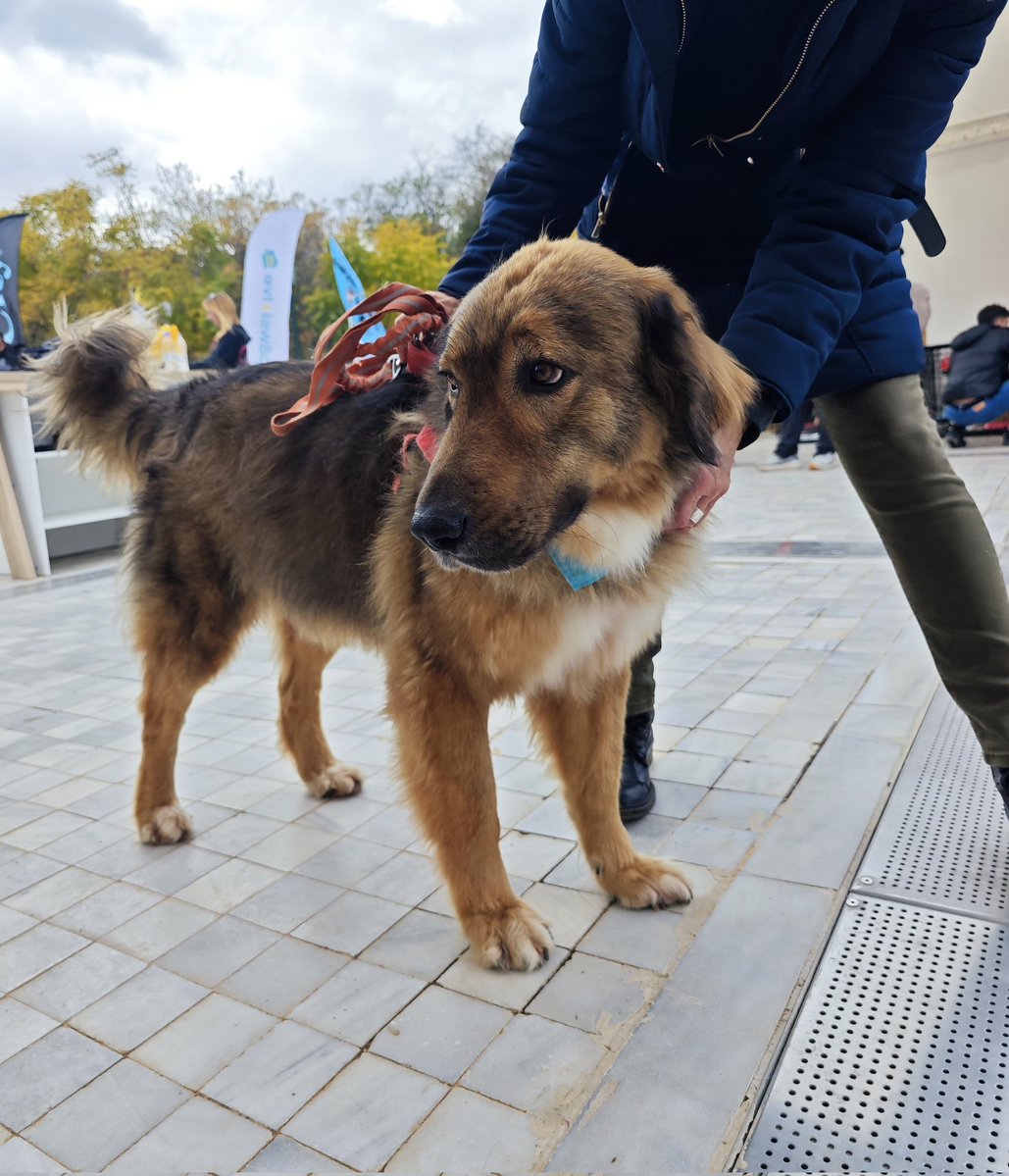 elina mpounia tweet media