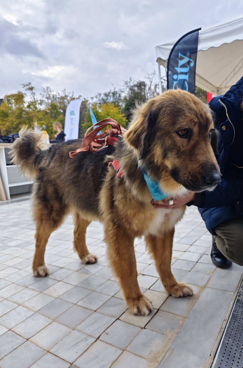 elina mpounia tweet media