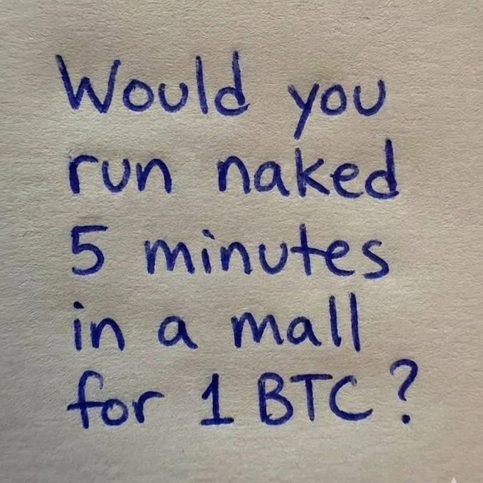 prof.x ᯓ★ tweet media