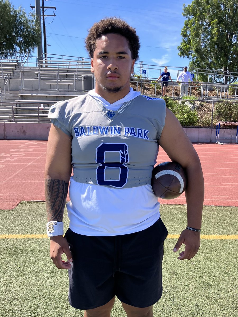 Mark the Shark tweet media