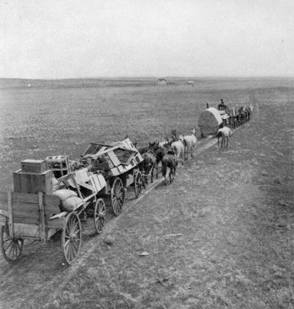 The Reclamare tweet media