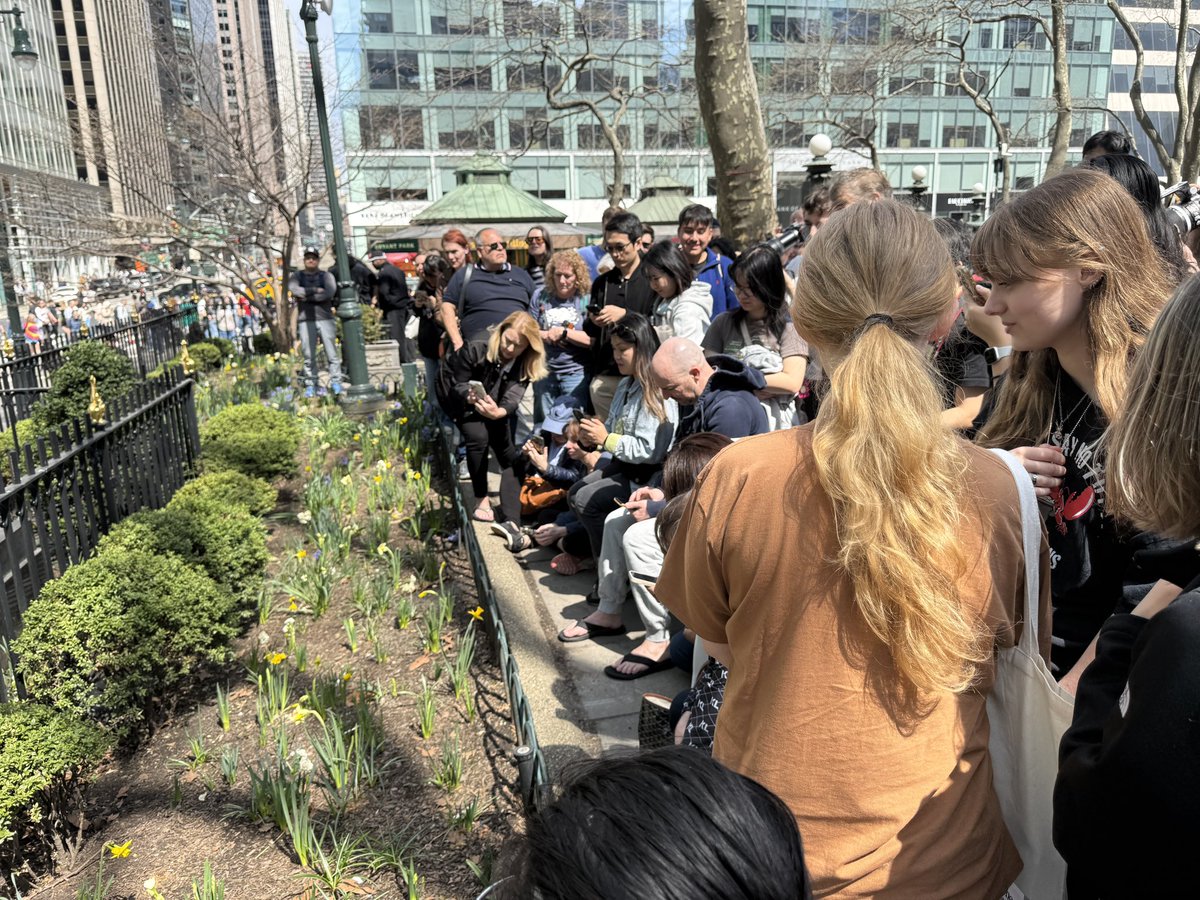 DiveArtist's tweet photo. Bryant Park is going Woodcock crazy thanks to all the media reports! #birdcpp #americanwoodcock #timberdoodle https://t.co/HNhFUjzeQg