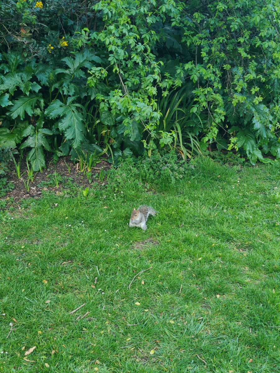 다애 🍀 tweet media