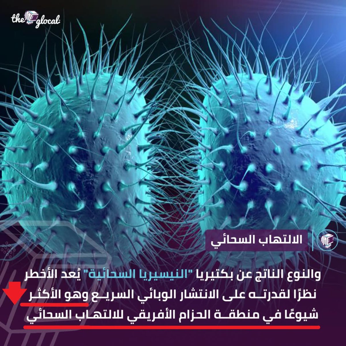 manal zayed tweet media