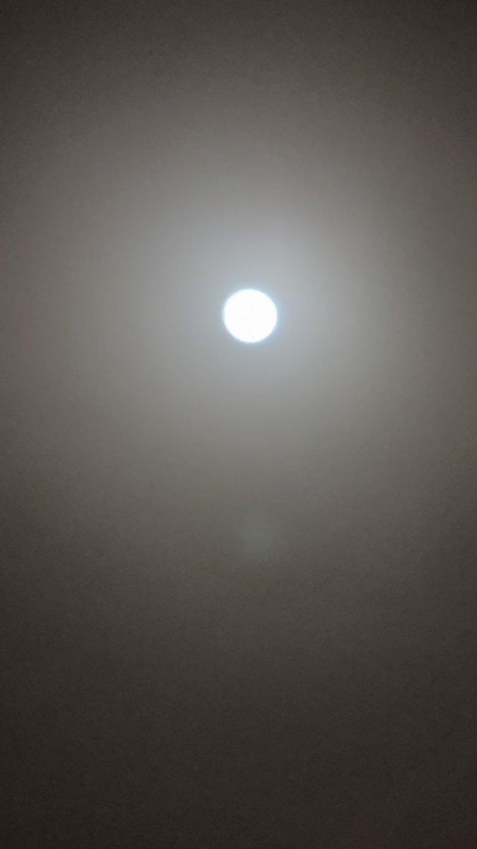 ZOMBIESA's tweet photo. Back to the moon 🌙🚀 https://t.co/gAvoAQthqQ