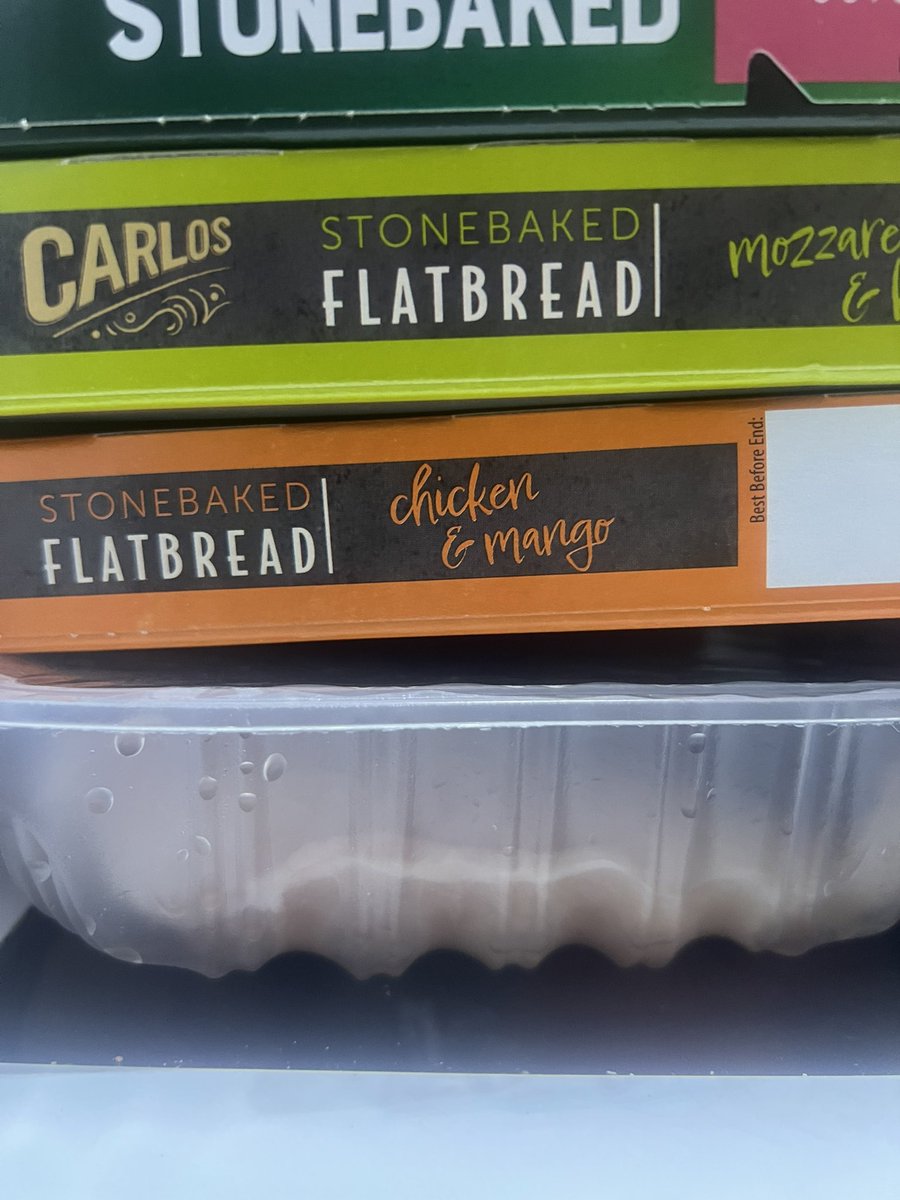 KittoCatto🐾🧭 tweet media