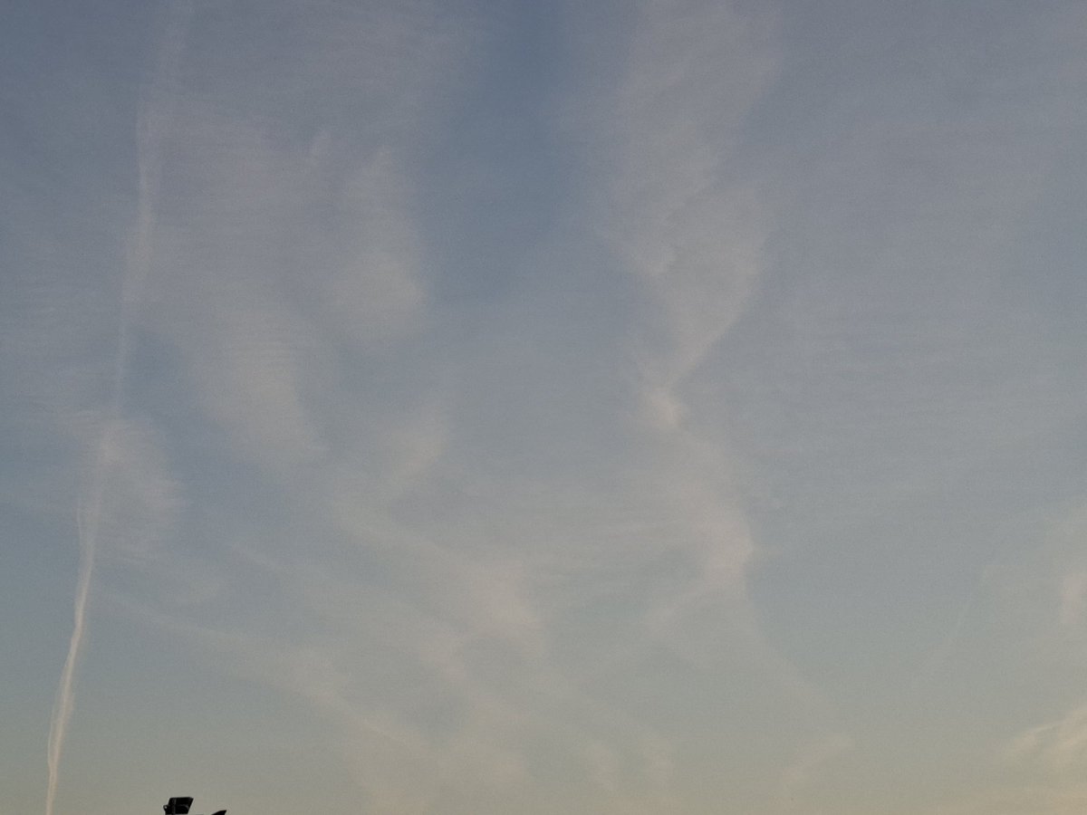 BRUNO IV 🇵🇹 tweet media