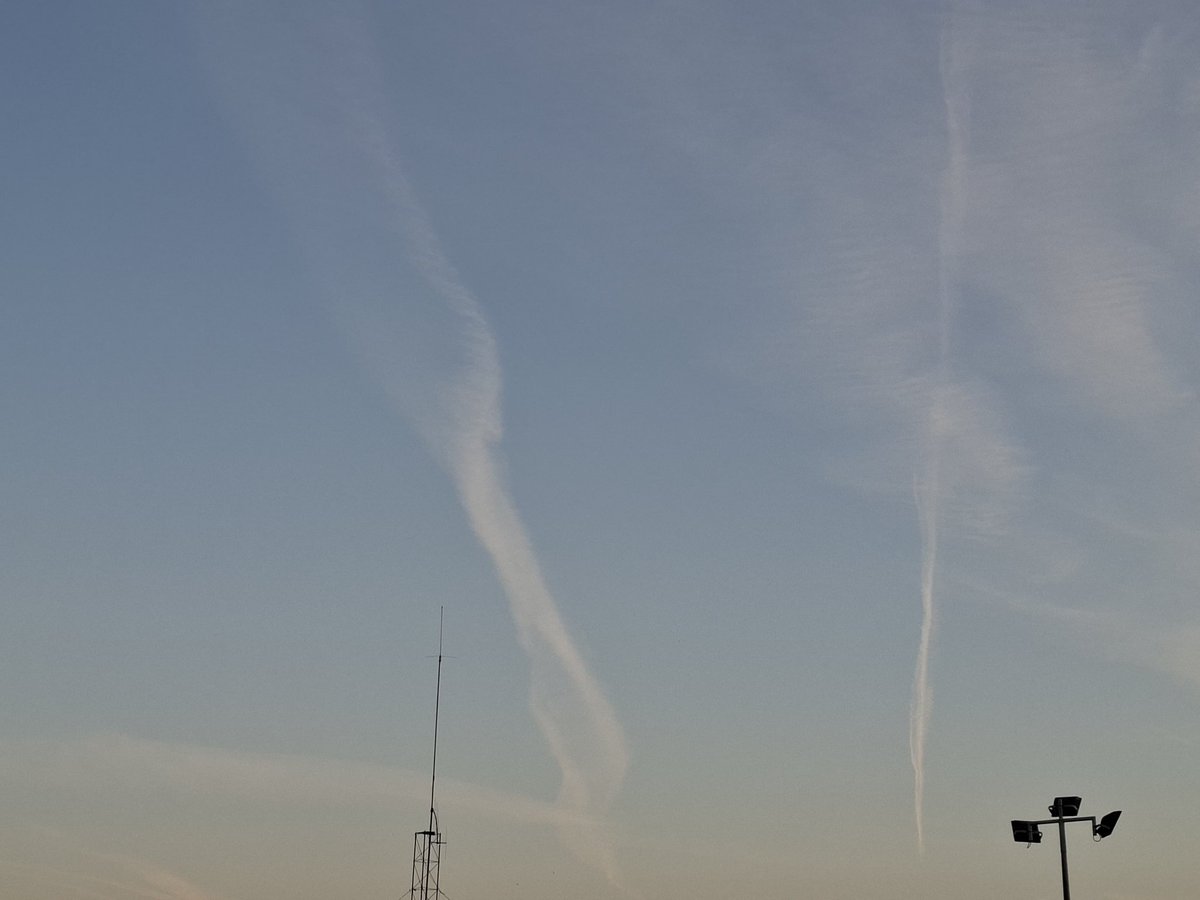 BRUNO IV 🇵🇹 tweet media