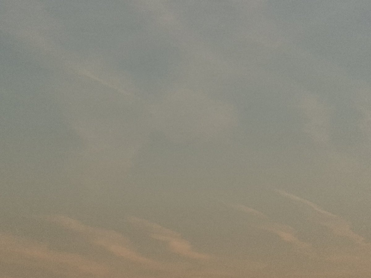 BRUNO IV 🇵🇹 tweet media