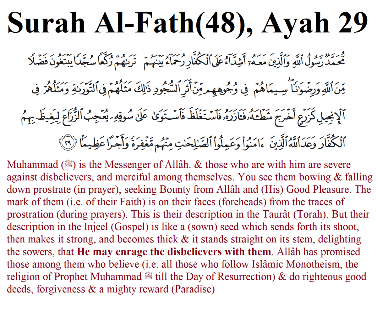 Exposing Deviant Sects and Scholars tweet media