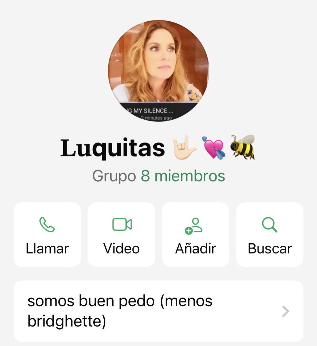 Bridghette tweet media