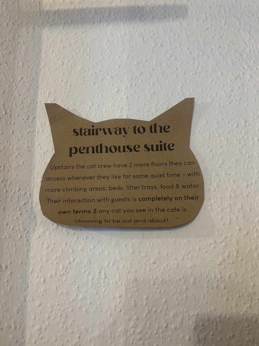 Miss G 📚 tweet media