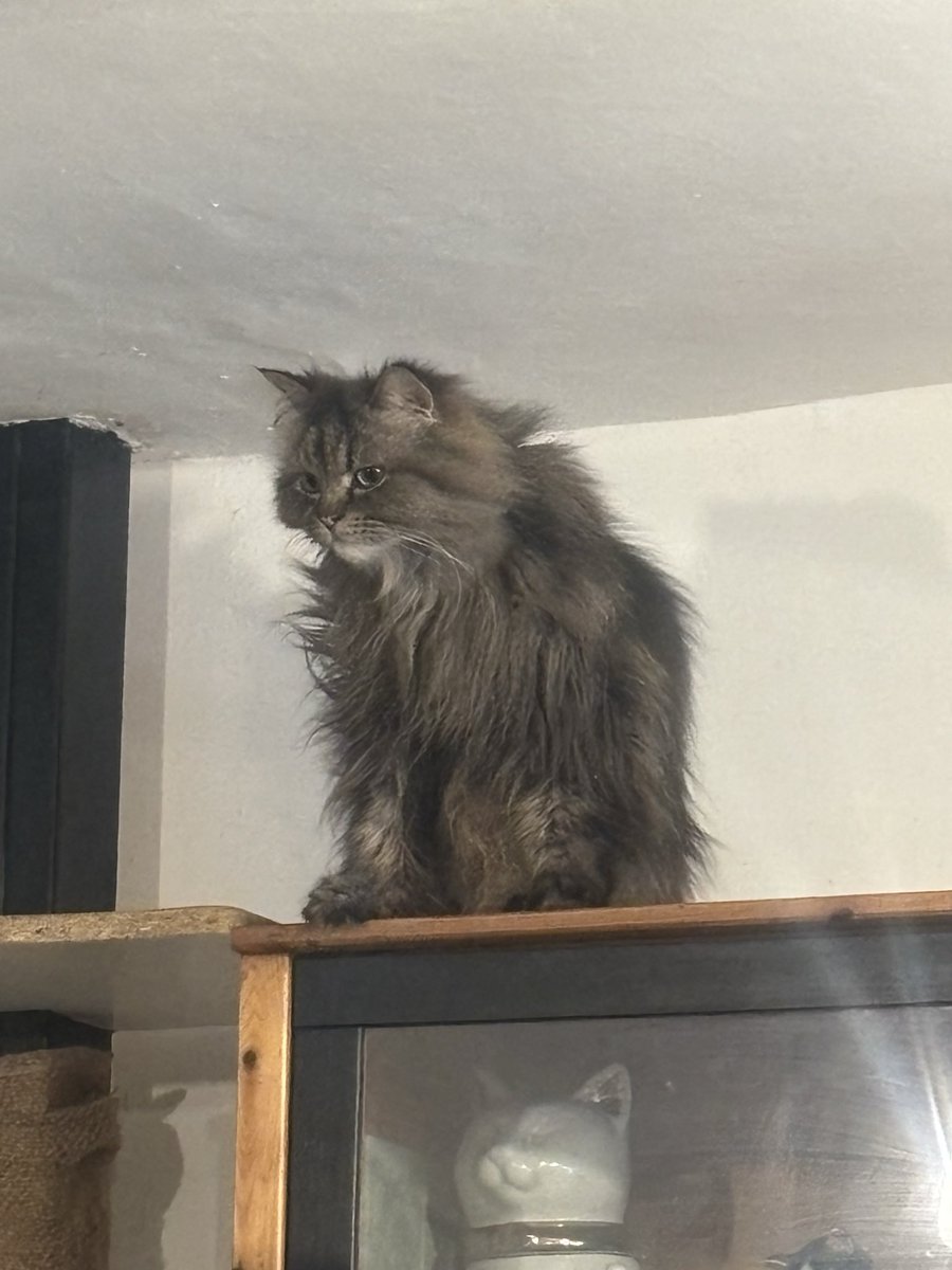 Miss G 📚 tweet media