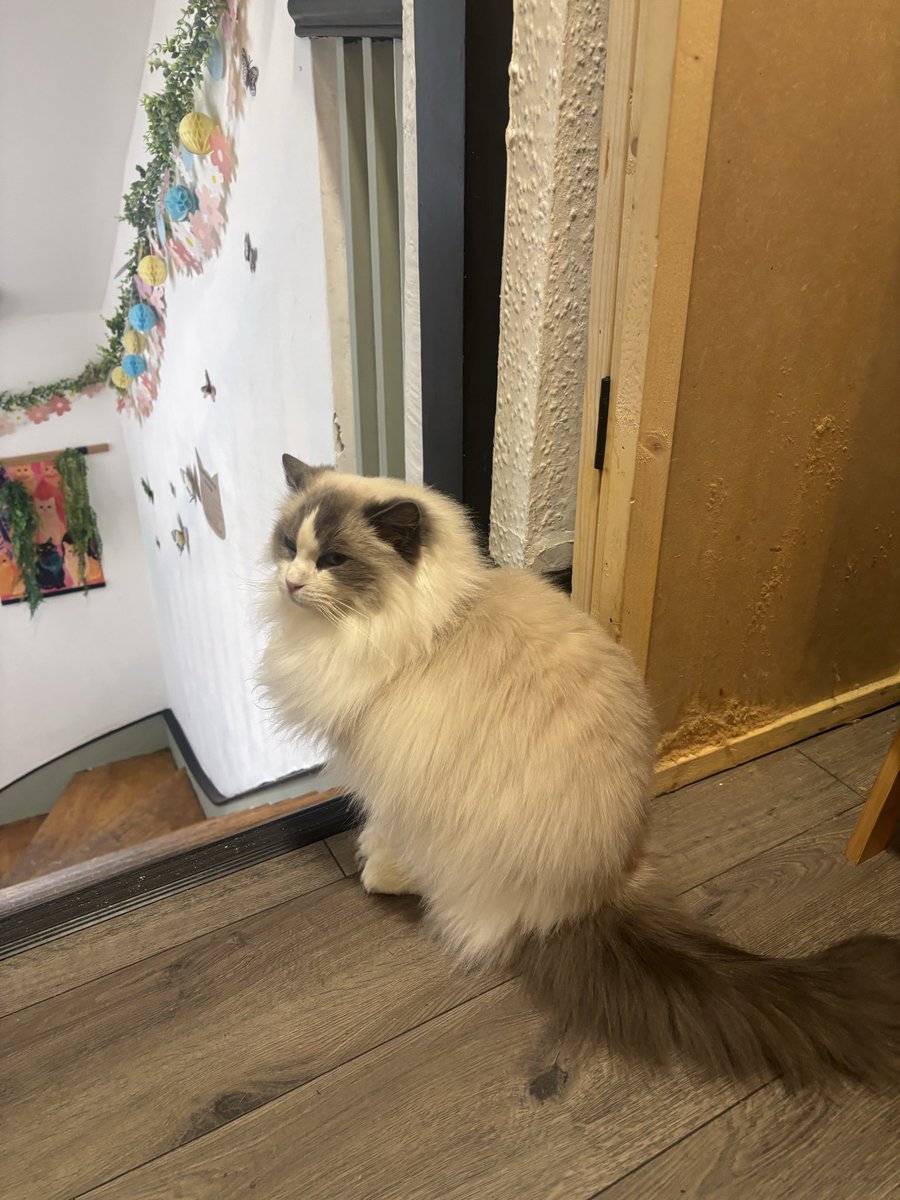 Miss G 📚 tweet media