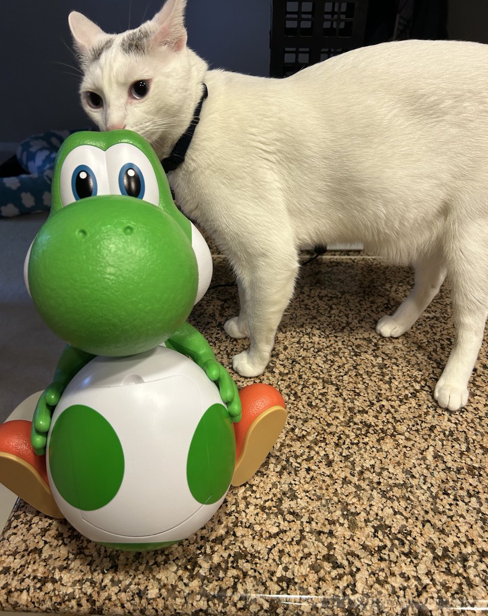 Ruffian_K's tweet photo. Yoshi popcorn bucket acquired 🥚 https://t.co/mqimv8UE4B
