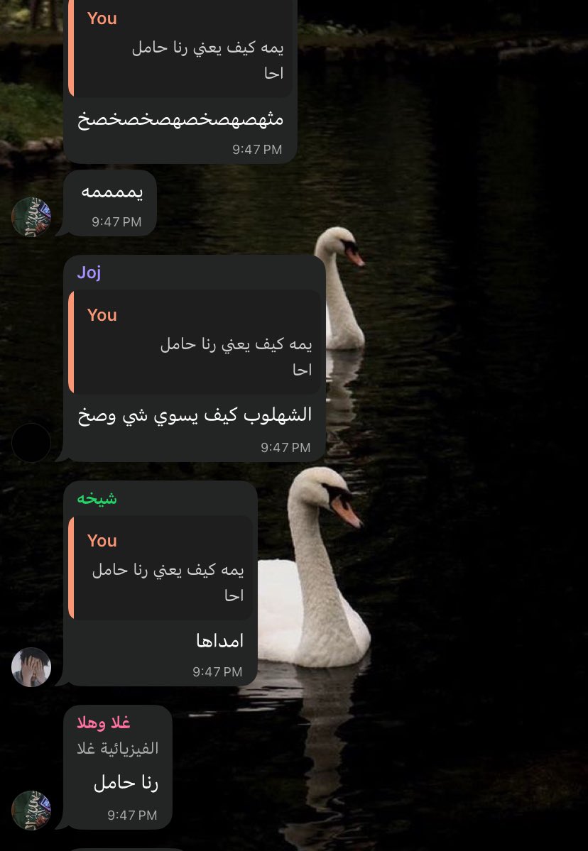 ‏𝙡è𝙖 tweet media