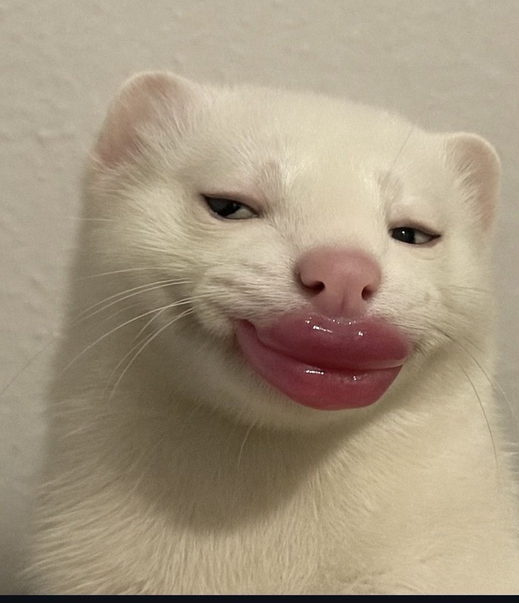 julieey 🧡 tweet media