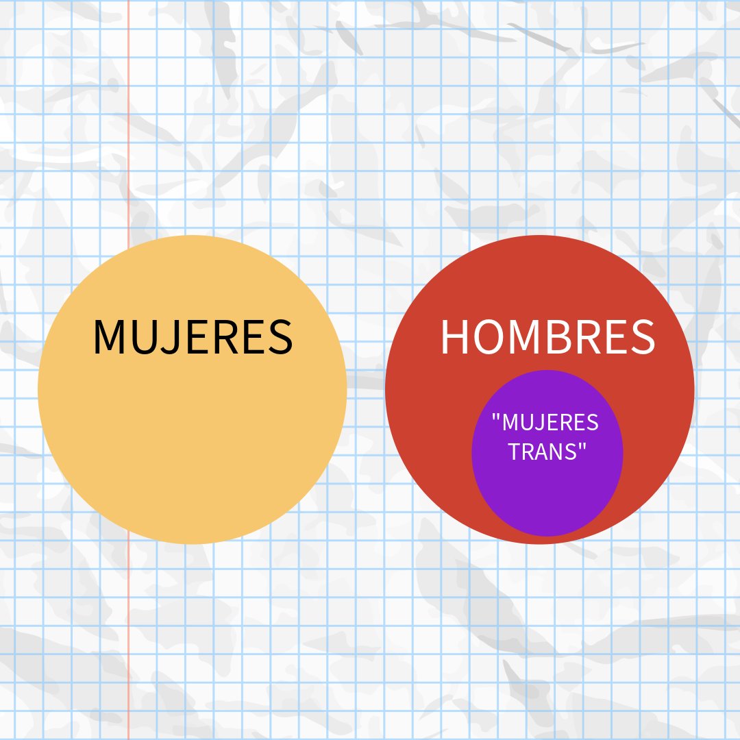 Lalú Brotóns #XX tweet media