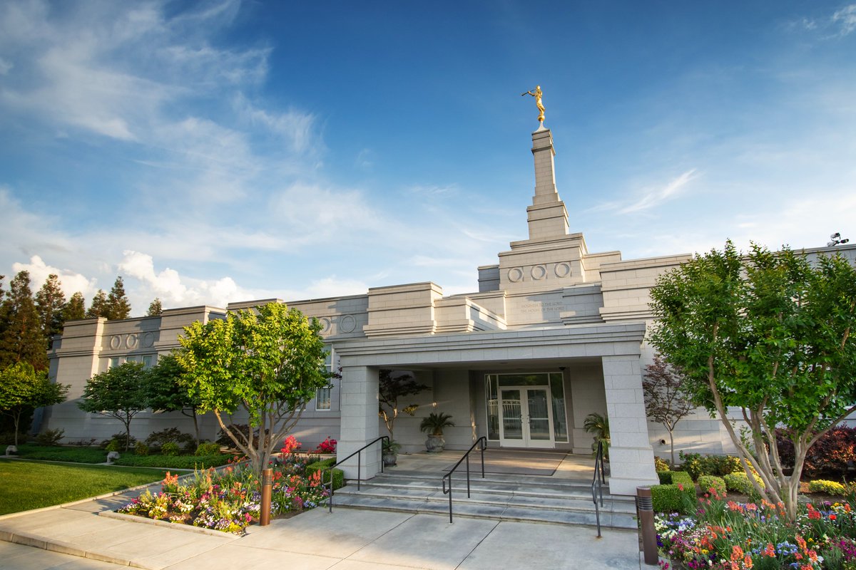 Caddy Turveydrop tweet media