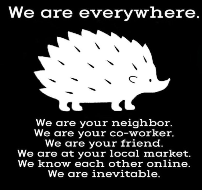 Hans Hedgehog tweet media