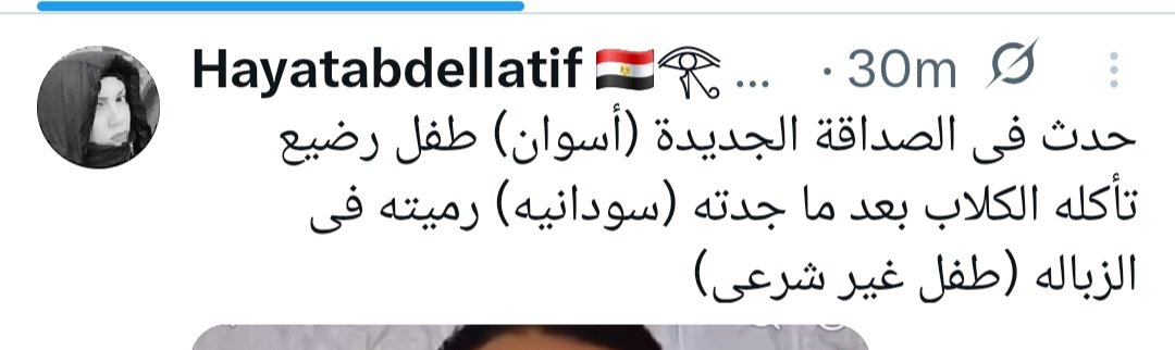 manal zayed tweet media