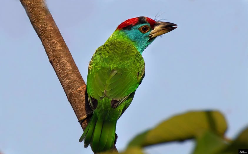 Ali Usman Baig tweet media