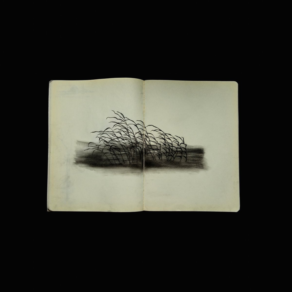 with love, z. tweet media