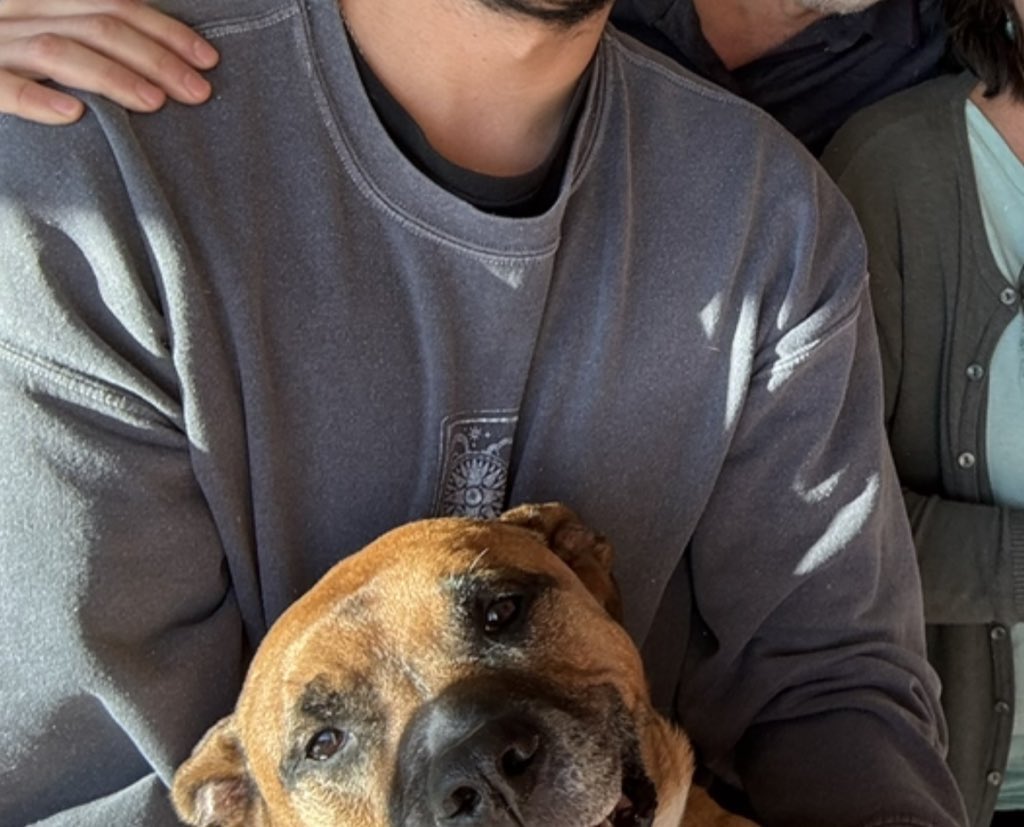 yoake⁷ ⊙⊝⊜ tweet media