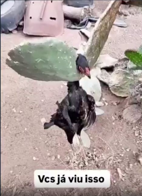 conguitos 🐻❄️ tweet media