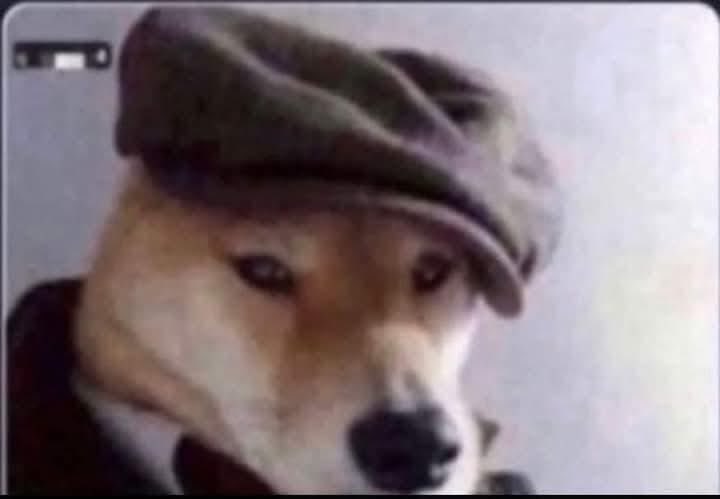 عُباس . tweet media